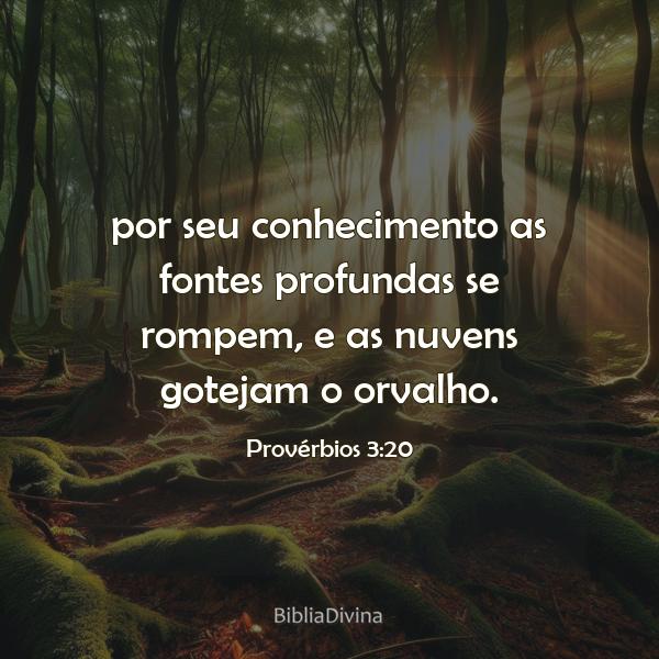 Provérbios 3:20