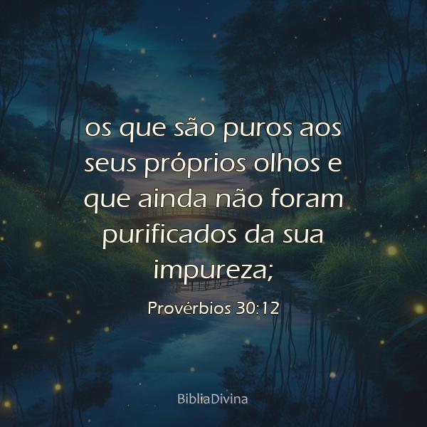 Provérbios 30:12