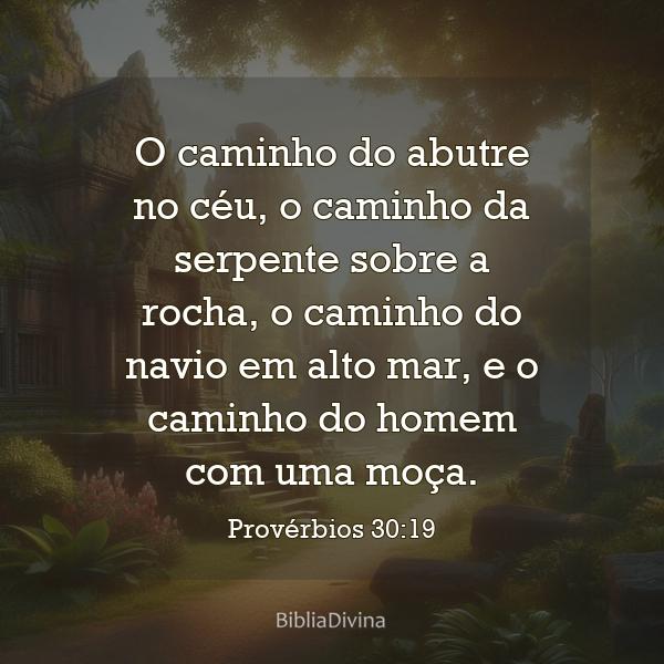 Provérbios 30:19