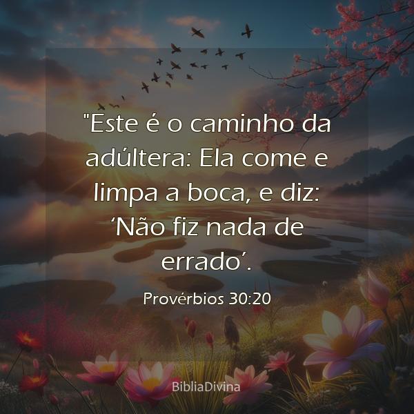 Provérbios 30:20