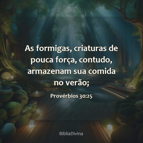 Provérbios 30:25