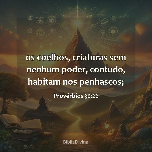 Provérbios 30:26