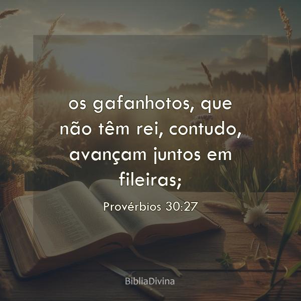 Provérbios 30:27