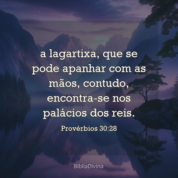 Provérbios 30:28