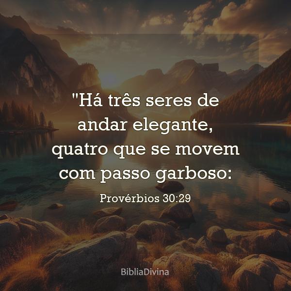 Provérbios 30:29