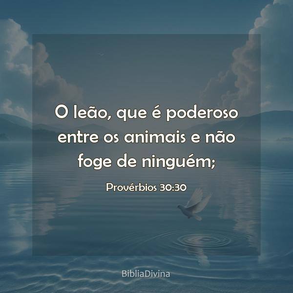 Provérbios 30:30