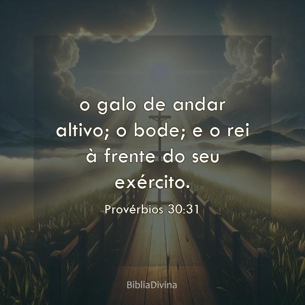 Provérbios 30:31