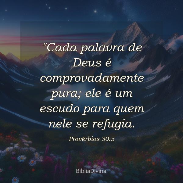 Provérbios 30:5