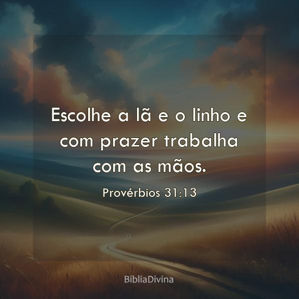 Provérbios 31:13