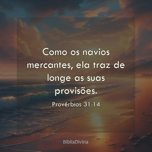 Provérbios 31:14