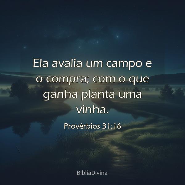 Provérbios 31:16