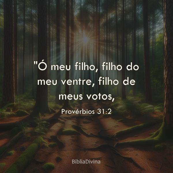 Provérbios 31:2