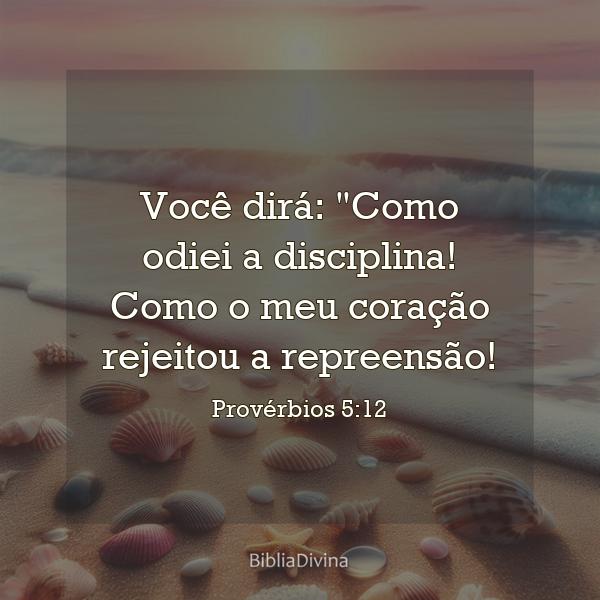 Provérbios 5:12