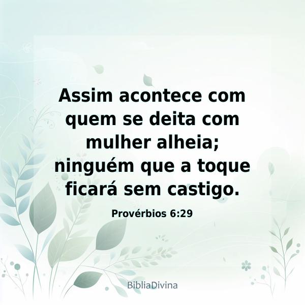 Provérbios 6:29