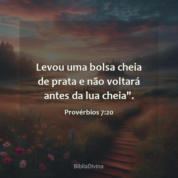 Provérbios 7:20