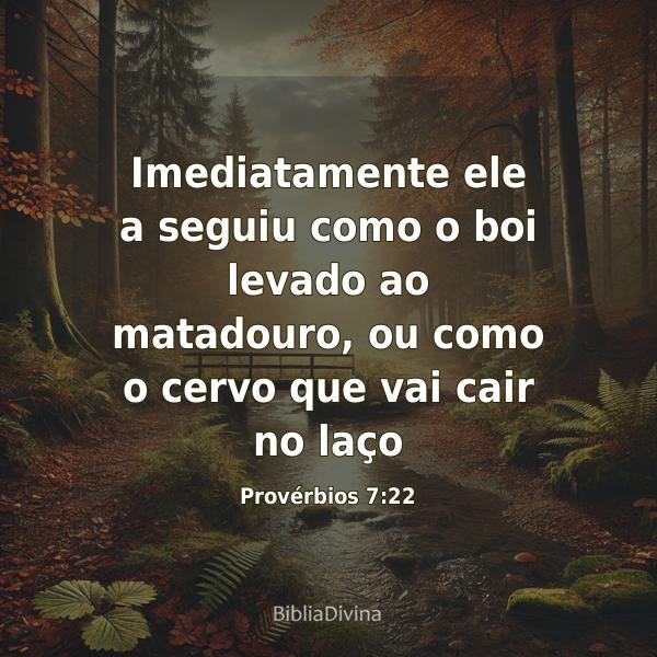 Provérbios 7:22