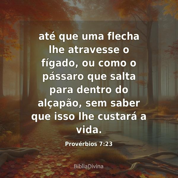 Provérbios 7:23