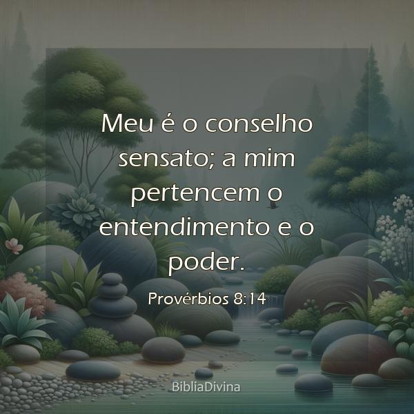 Provérbios 8:14