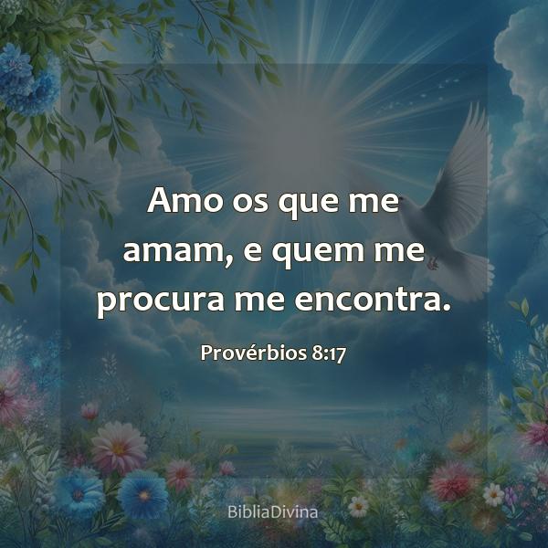 Provérbios 8:17