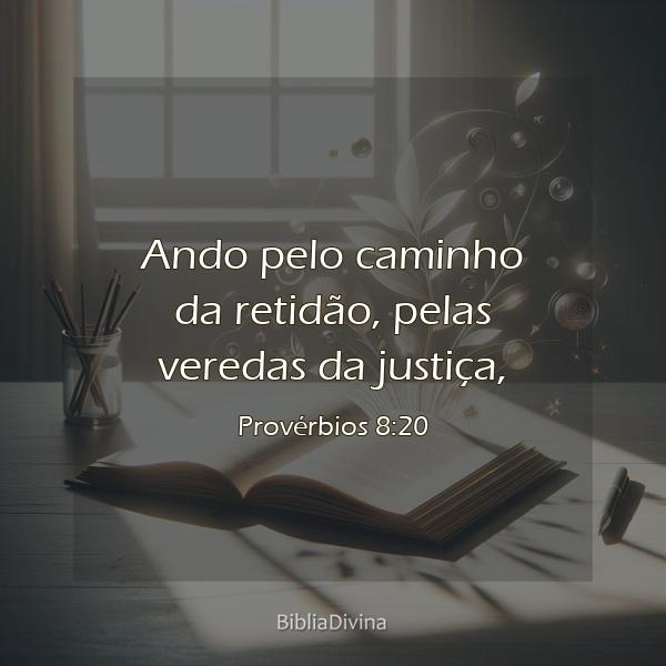 Provérbios 8:20