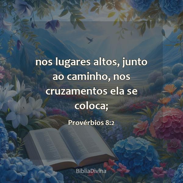 Provérbios 8:2