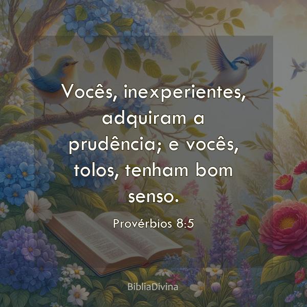 Provérbios 8:5