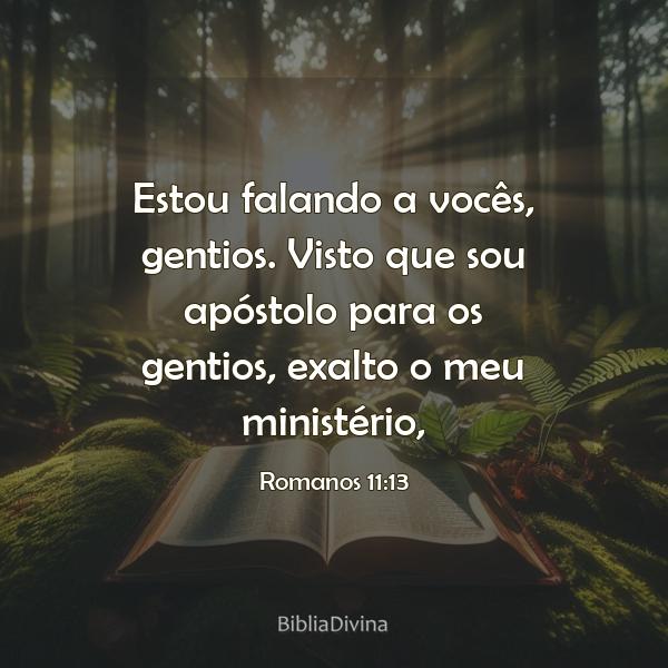 Romanos 11:13