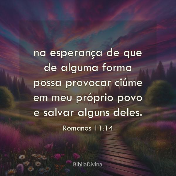 Romanos 11:14