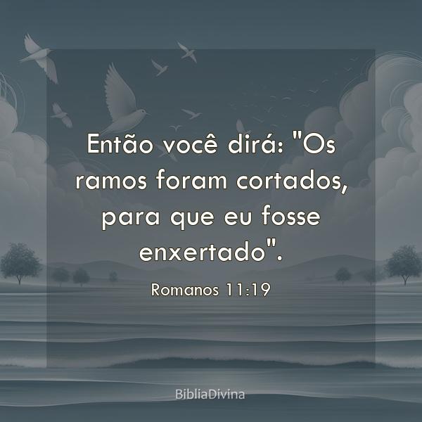 Romanos 11:19