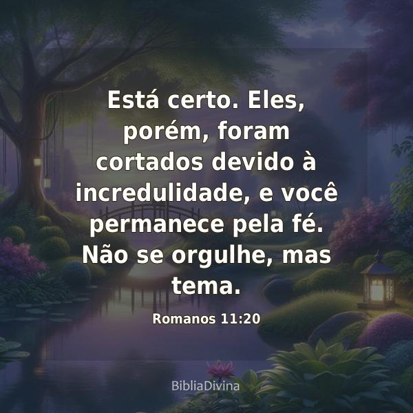 Romanos 11:20