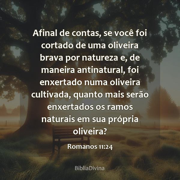 Romanos 11:24