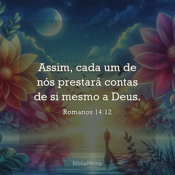 Romanos 14:12