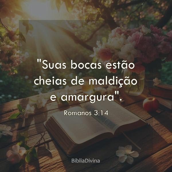 Romanos 3:14