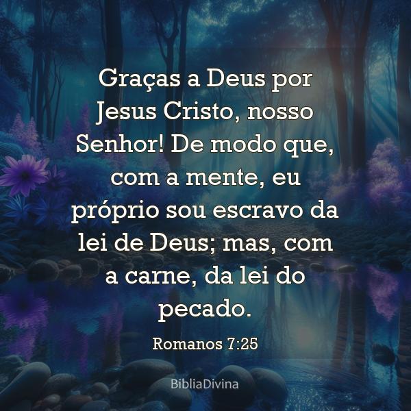 Romanos 7:25