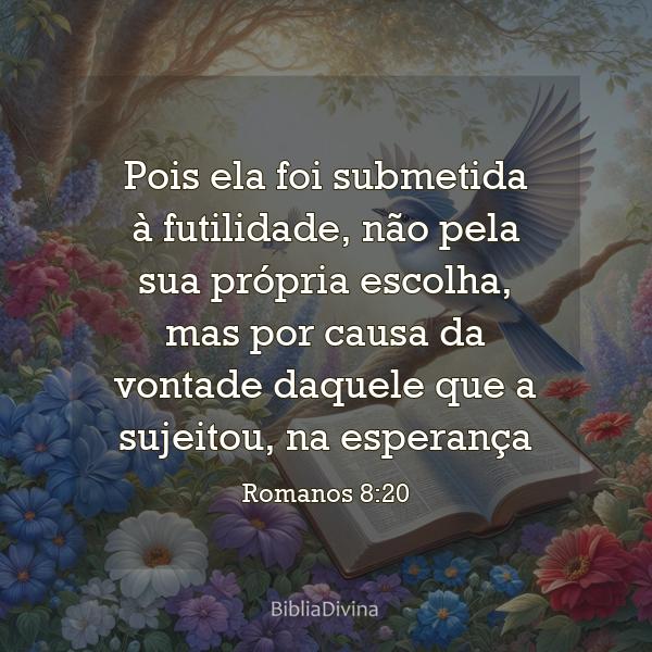 Romanos 8:20