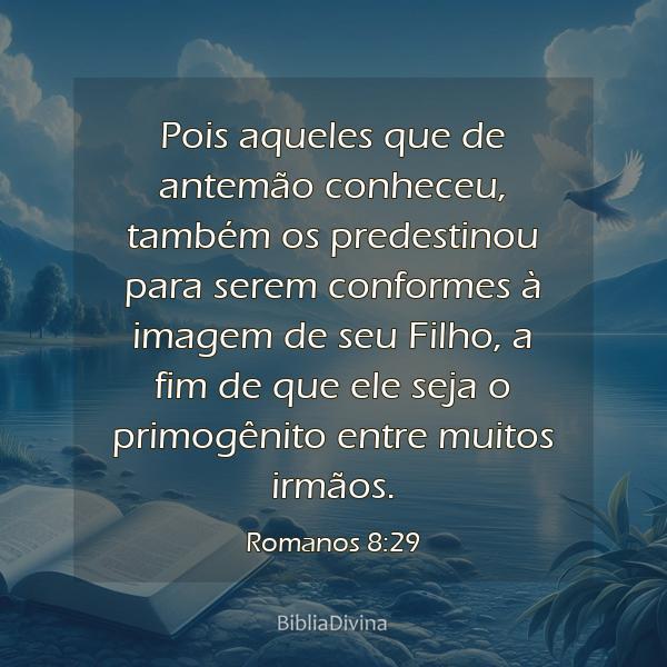 Romanos 8:29