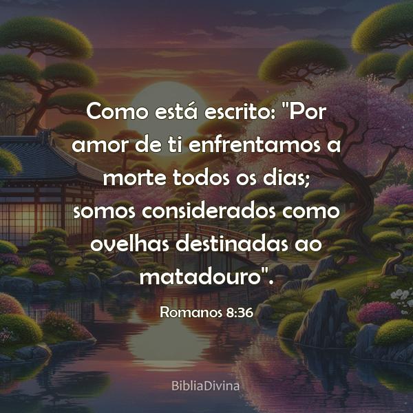 Romanos 8:36