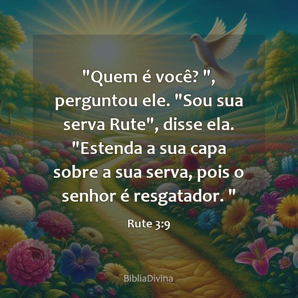 Rute 3:9