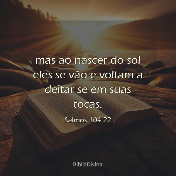 Salmos 104:22