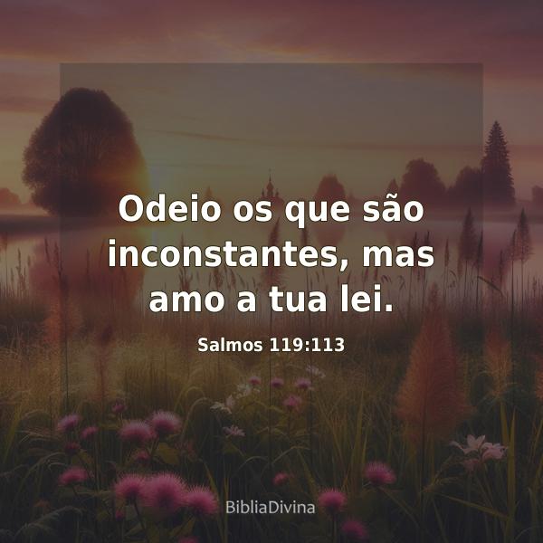 Salmos 119:113