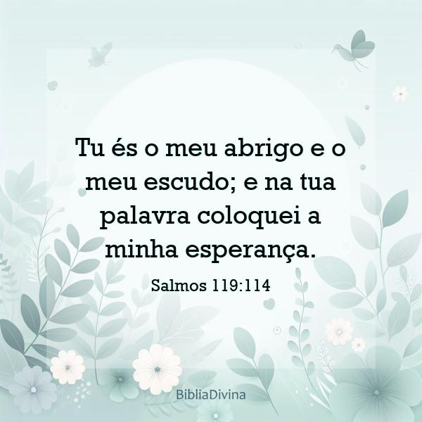 Salmos 119:114