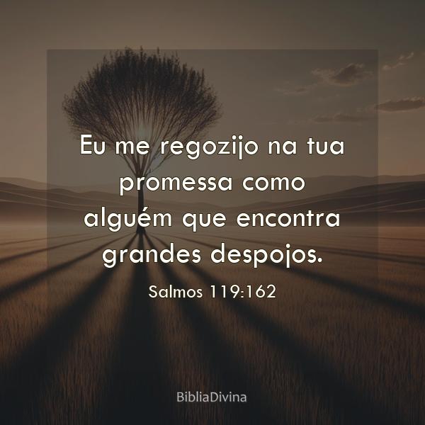 Salmos 119:162