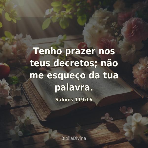 Salmos 119:16