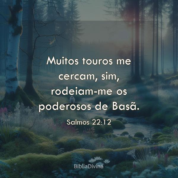 Salmos 22:12