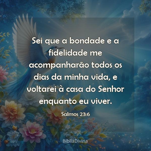 Salmos 23:6