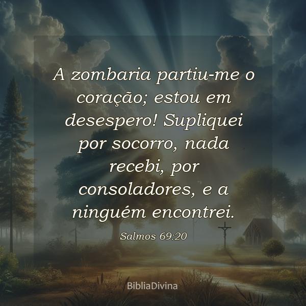 Salmos 69:20