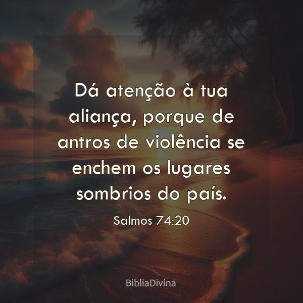 Salmos 74:20