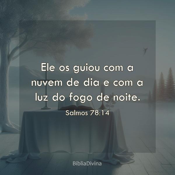 Salmos 78:14