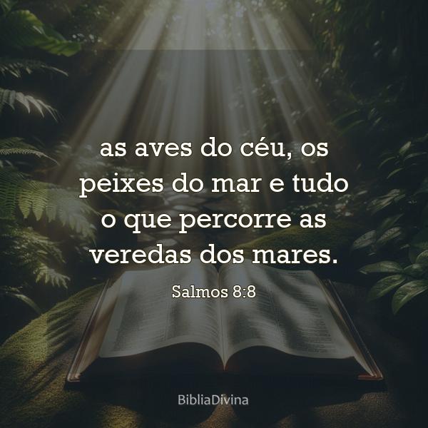 Salmos 8:8