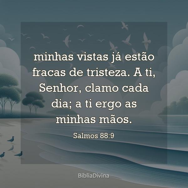 Salmos 88:9